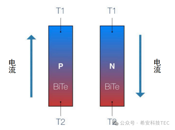 Cum funcționează TEC?